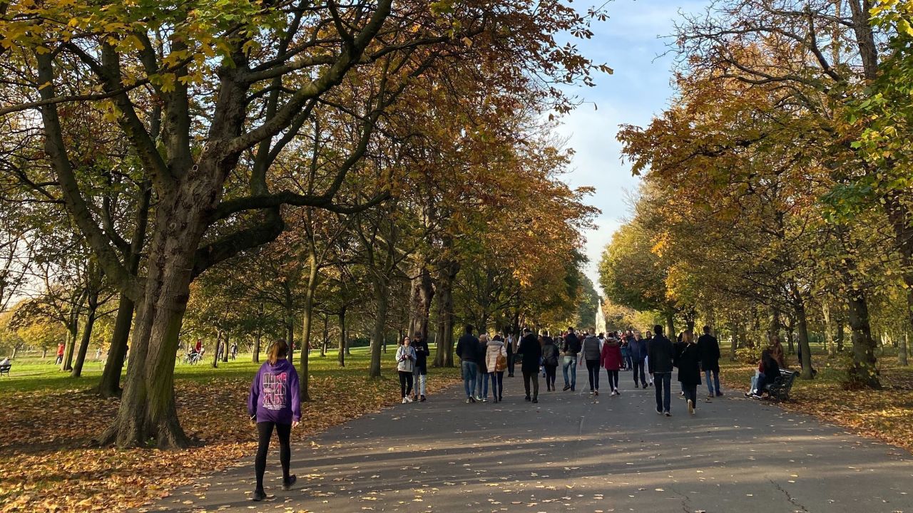 Prairie is passing the days with Autumnal walks in London's parks, including Regent's Park, pictured.