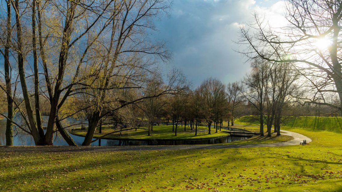 The Rheinaue park is situated alongside the Rhine river. 