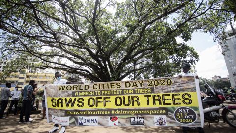 This year's March to protect and defend the Fig Tree and other urban natural spaces during the World Cities Day in Nairobi, Kenya. (Photo by Robert Bonet/NurPhoto via Getty Images)
