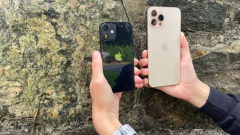 The iPhone mini (left) vs. the giant iPhone Pro Max. 