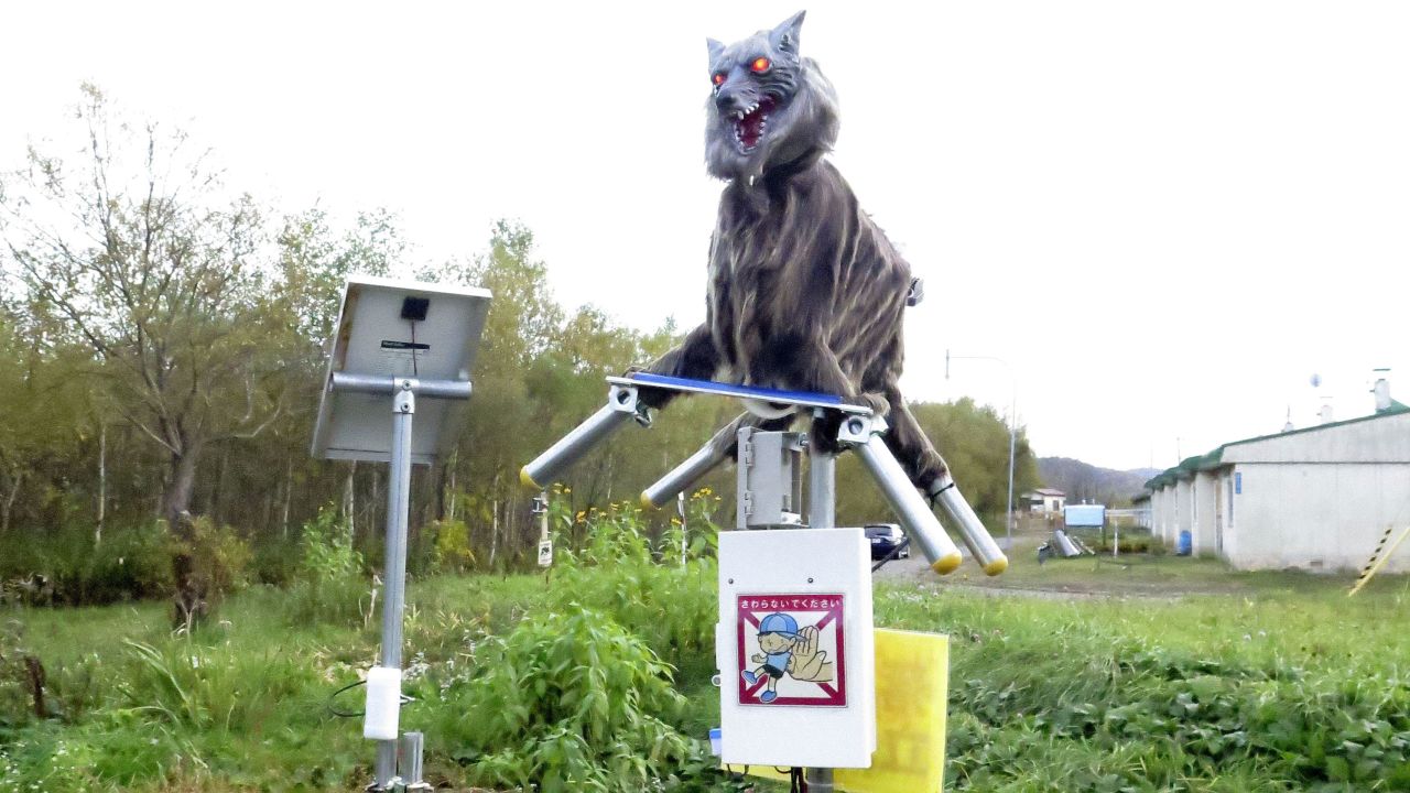 A robot called Monster Wolf, equipped with sensors that can detect bears or vermin, was installed in Takikawa, on Japan's northernmost main island of Hokkaido.