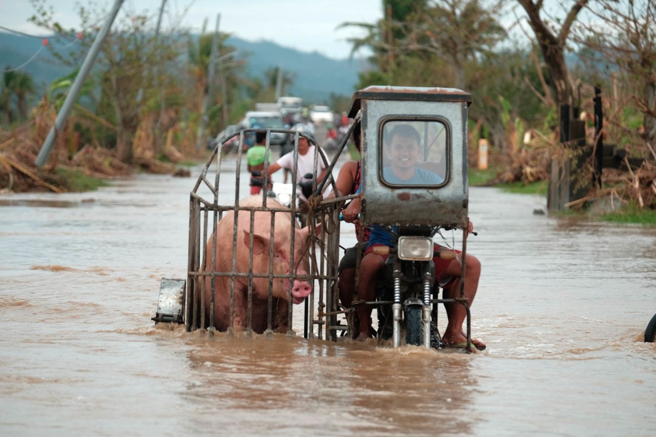 A motorcycle carrying a pig crosses a flooded road in the Albay province.
