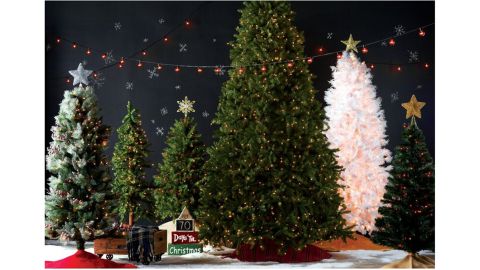 Beachcrest Home Dunhill Fir 10' Green Fir Artificial Christmas Tree