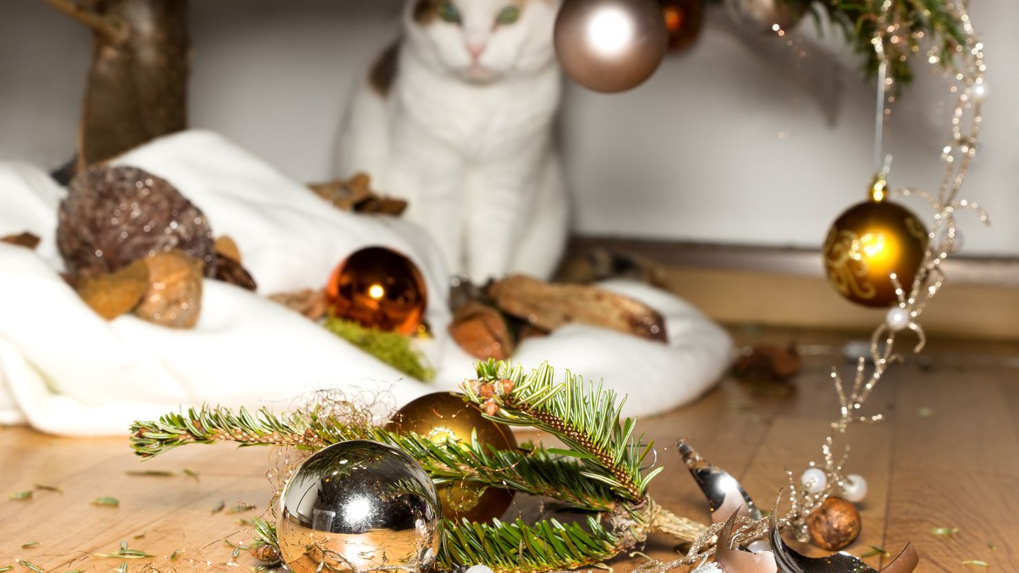 Tis the Season Black and White Christmas Tree Hand Towel Flour Sack Kitchen  Holiday Home Decor Decorations for Men Women 