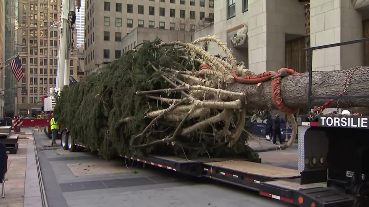The tree arrives in Rockefeller Center in New York City. 
