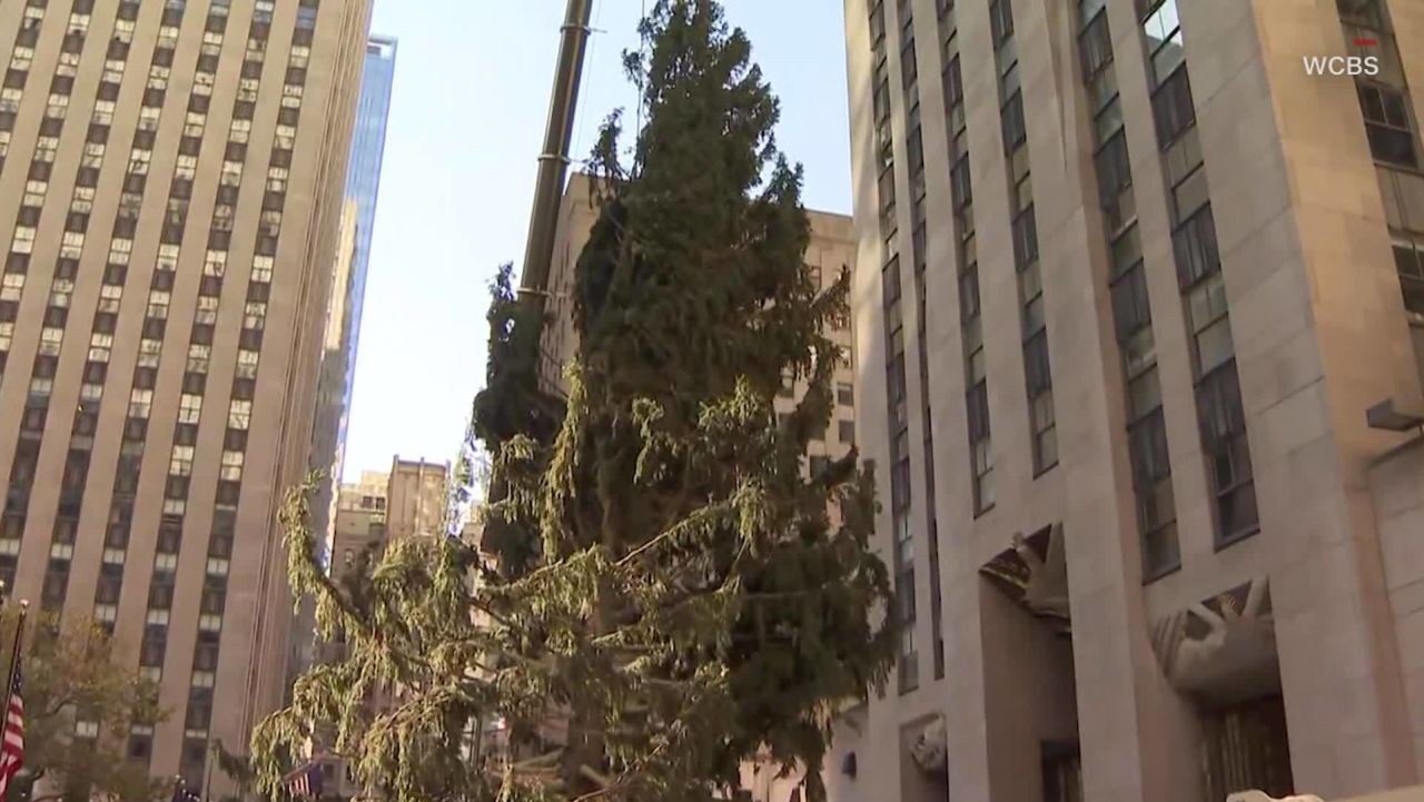 Rockefeller Center tree