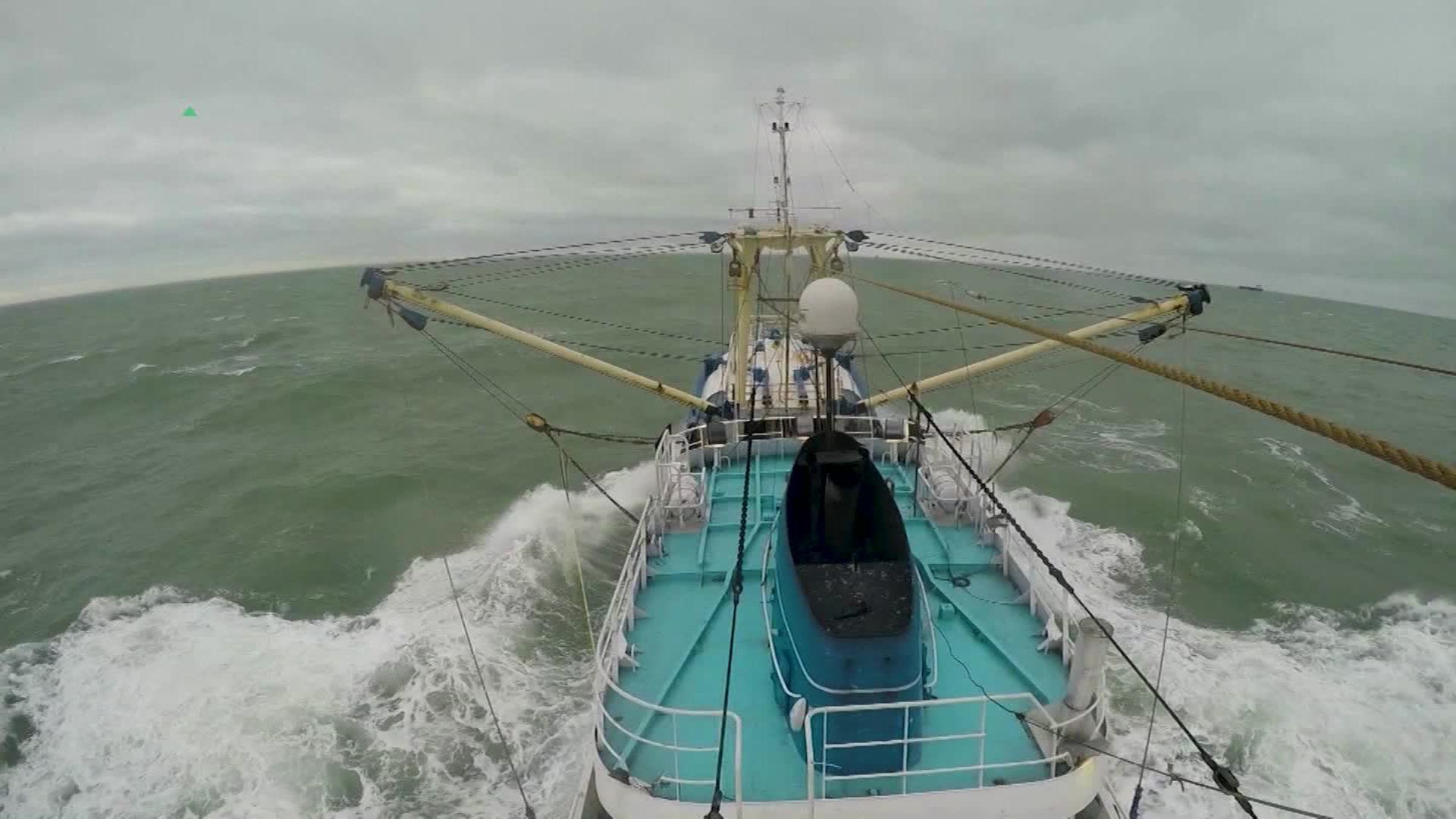 The new smart trawl net aims to change commercial fishing