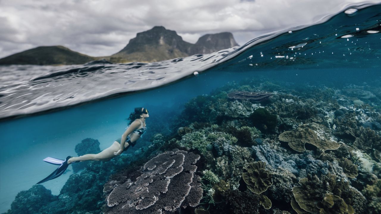 A diver explores the coral reefs around Lord Howe Island.