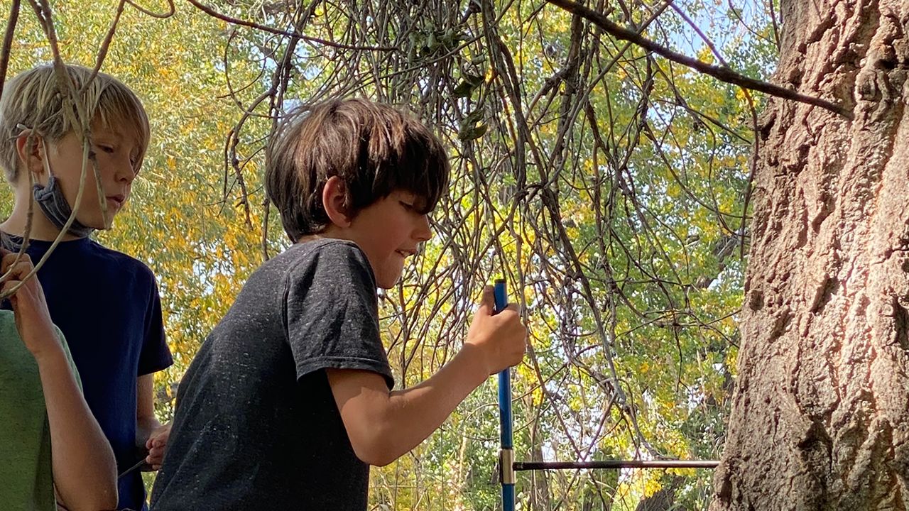 Ten-year-old Bergen Manzella learns how to take a core sample from a tree. 