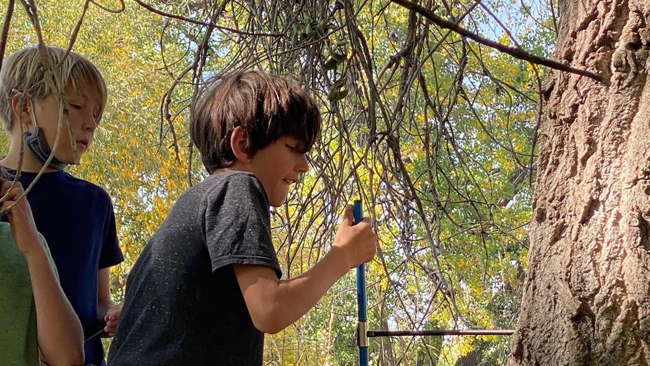 Ten-year-old Bergen Manzella learns how to take a core sample from a tree.