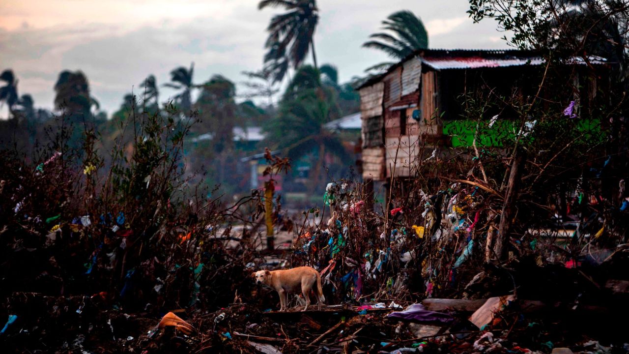 A dog eats from the rubble of houses destroyed by the passage of Hurricane Eta, in Bilwi, Puerto Cabezas, Nicaragua, on November 15, 2020.