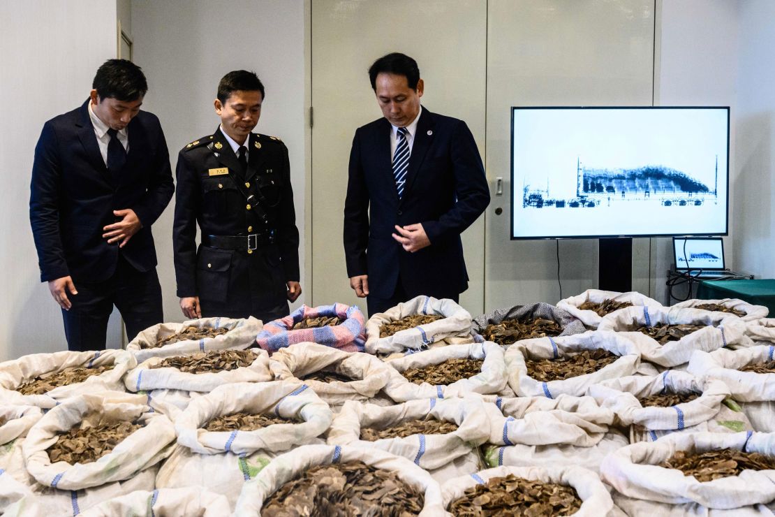 Customs officers look at seized endangered pangolin scales displayed during a press conference at the Kwai Chung Customhouse Cargo Examination Compound in Hong Kong on February 1, 2019.