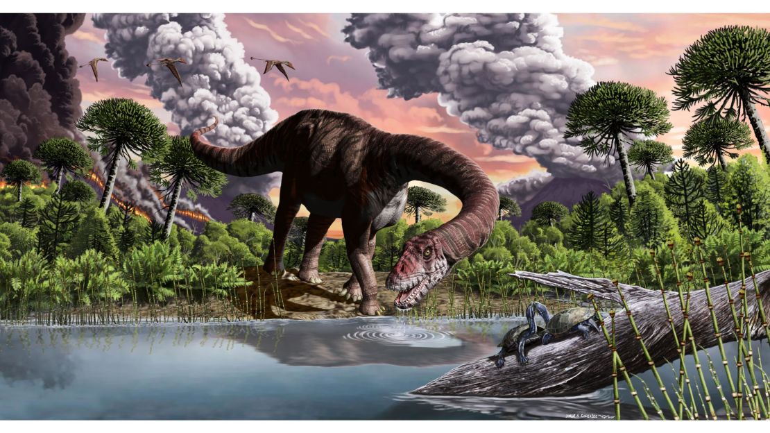 The dinosaur's long neck would have enabled it to reach tall conifer trees and stay in one spot while it ate, since moving such a huge body expended a lot of energy. 