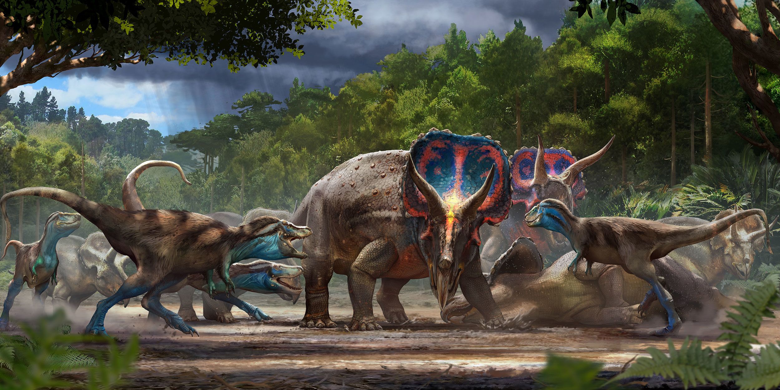 Dueling dinosaurs' fossils show Triceratops, T. rex, may have died after a  battle | CNN