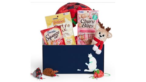 Goody Box Holiday Toys and Treats
