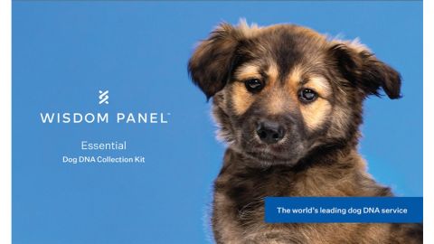 Wisdom Panel Essential Dog DNA Kit