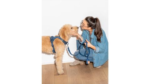 Durable Dog Leash