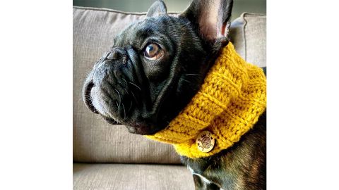 The Cold Snap Snood