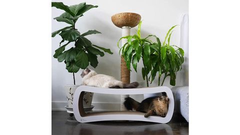 PetFusion Jumbo Cat Scratcher Lounge