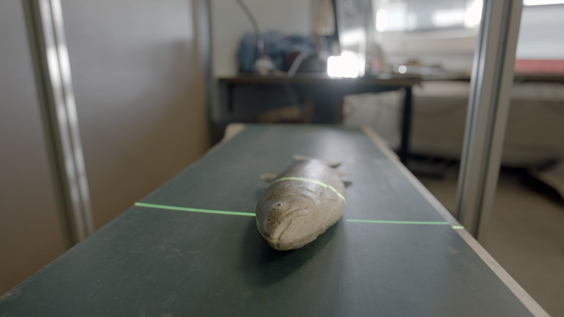 CatchScanner, being demonstrated on a model fish in the lab.