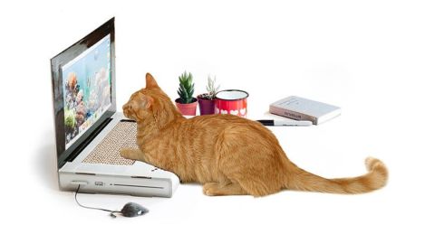 Laptop Scratching Pad