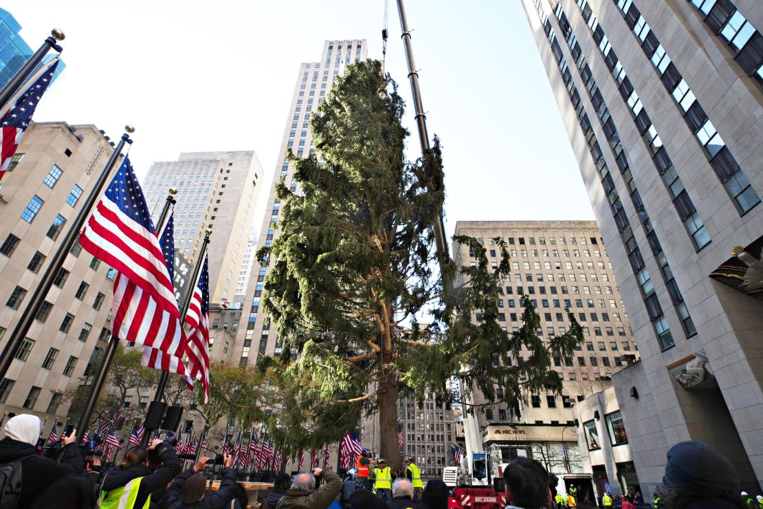 The Rockefeller Center Christmas Tree arrives at Rockefeller Plaza and is craned into place on November 14, 2020 in New York City.
