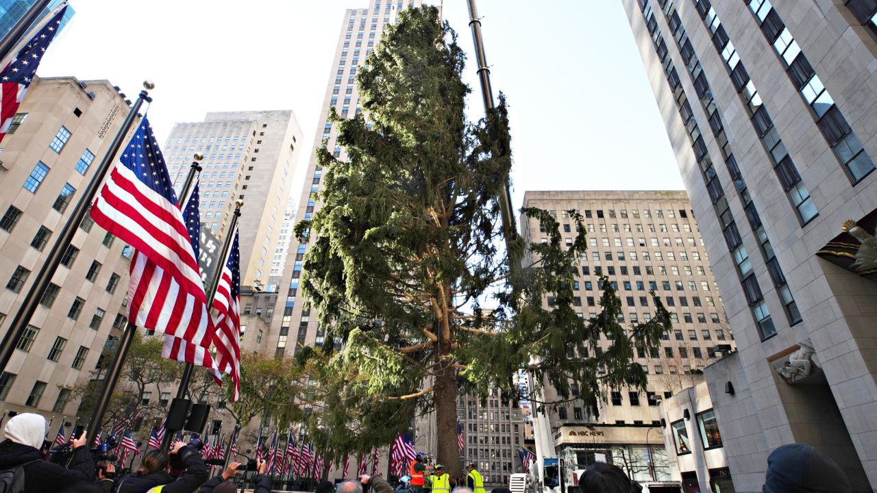 The Rockefeller Center Christmas Tree arrives at Rockefeller Plaza and is craned into place on November 14, 2020 in New York City.