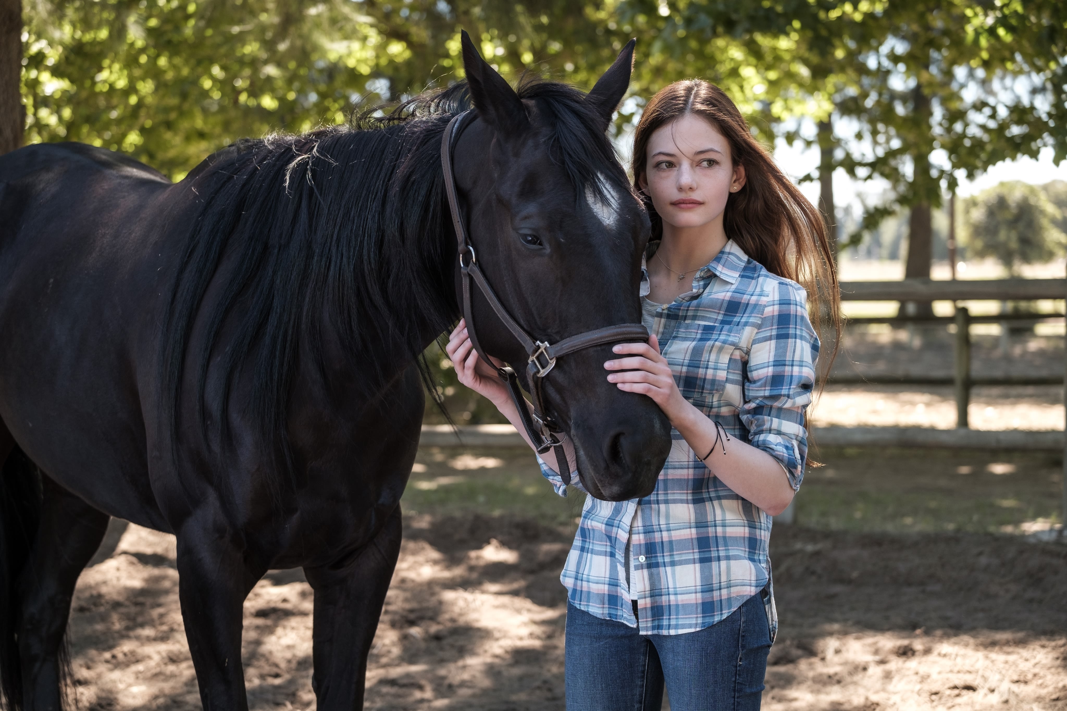 Black Beauty' review: A Disney+ movie reimagines the classic horse