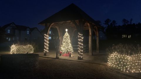 After photos of their twinkling neighborhood in Vestavia Hills, Alabama, went viral, other neighborhoods across the country chimed in with their own early Christmas cheer in honor of Ally.