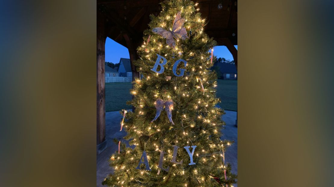 Morgan Cheek, mother of twins Ally and Bailey Grace, said the early Christmas lights have been a source of literal light in a dark time.
