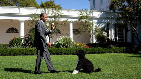 President Barack Obama and Bo at the White House in 2010.