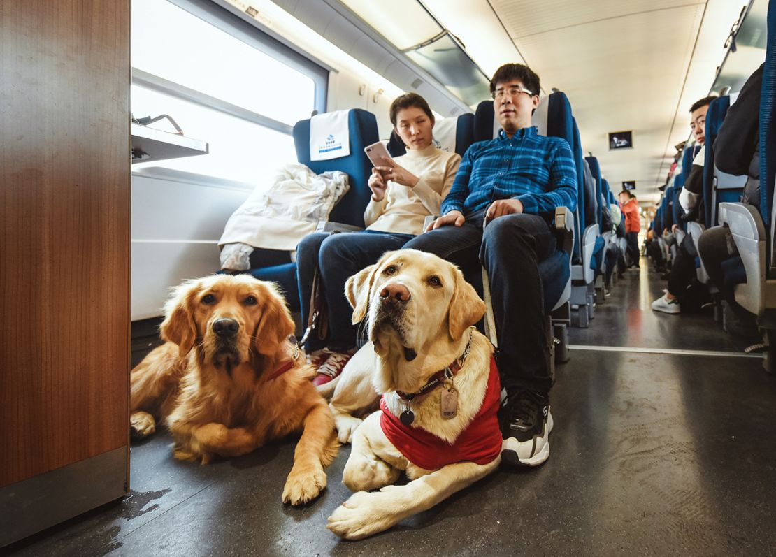 Yang Kang takes the train with his wife and their guide dogs.
