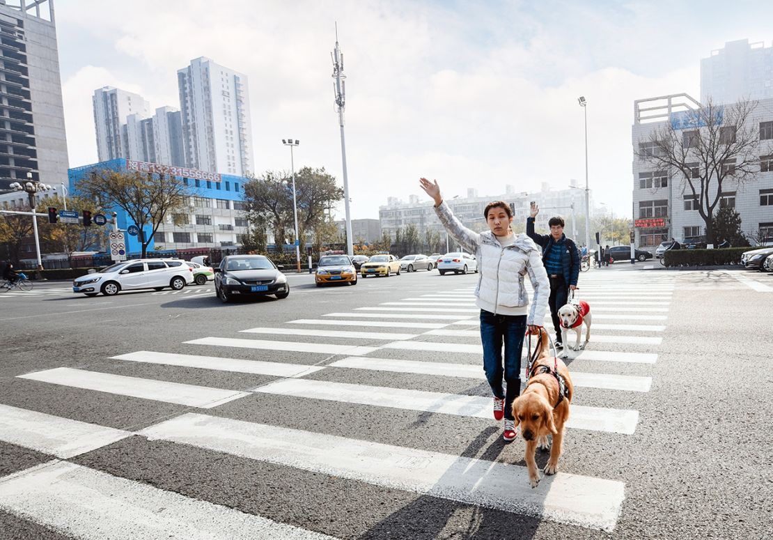 Yang Kang and his wife crossing a road with their guide dogs in Beijing, China.