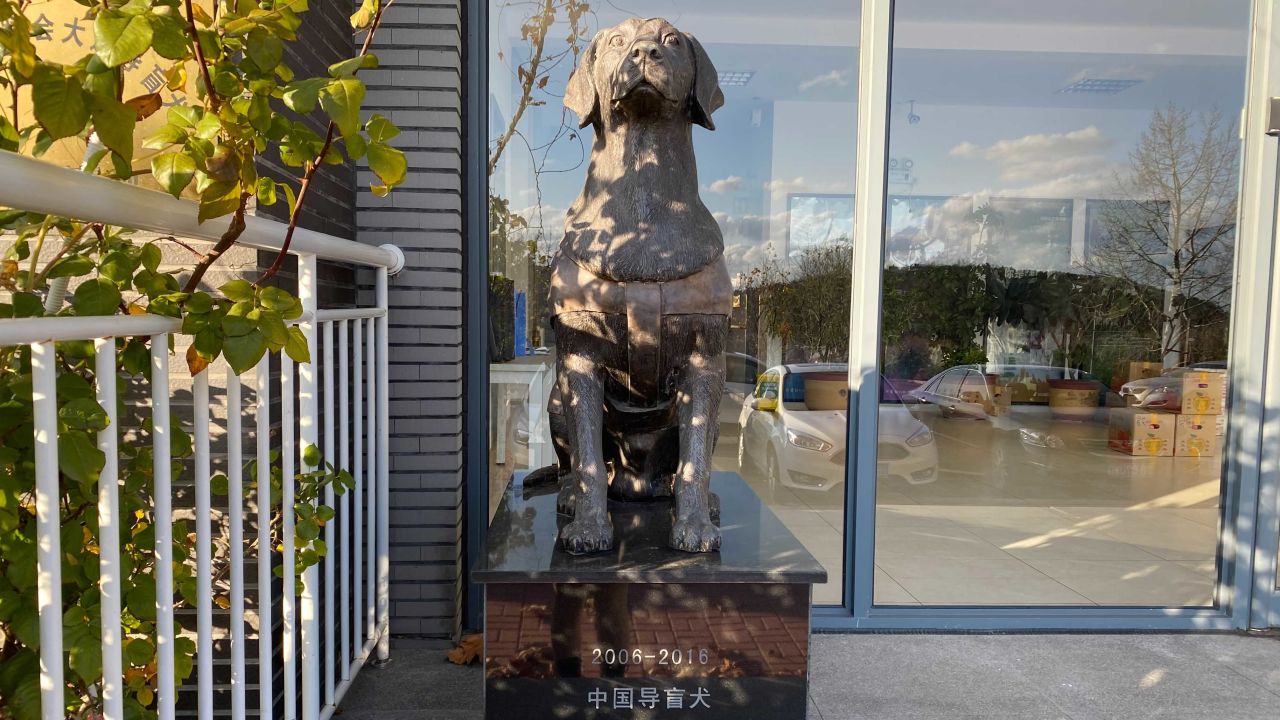 Founded in 2016, the China Dalian Guide Dog Training Center China's first such facility.