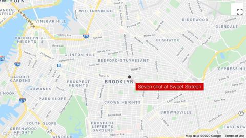 Seven people were shot, one fatally, at a Sweet 16 party in Brooklyn.