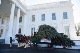 The White House Christmas Tree is seen in front of the White House in Washington, DC, on November 23, 2020.