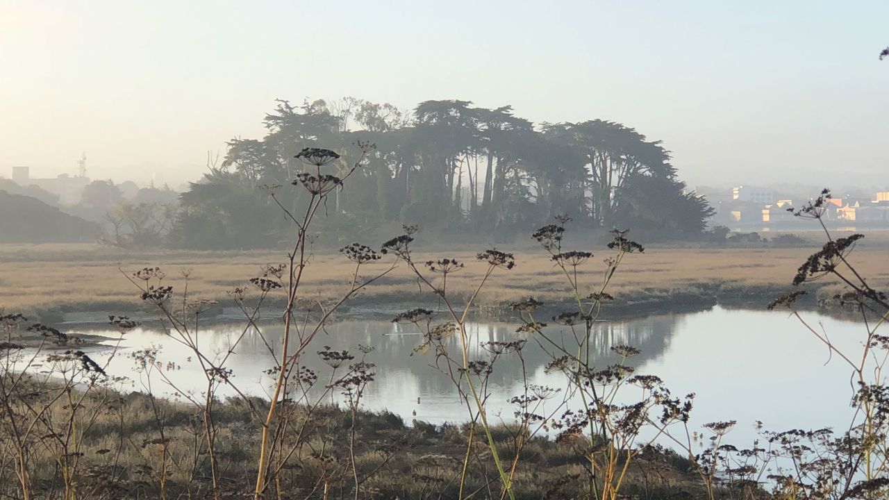 A photo of Duluwat Island in the morning, captured by Eureka City Councilmember Kim Bergel.