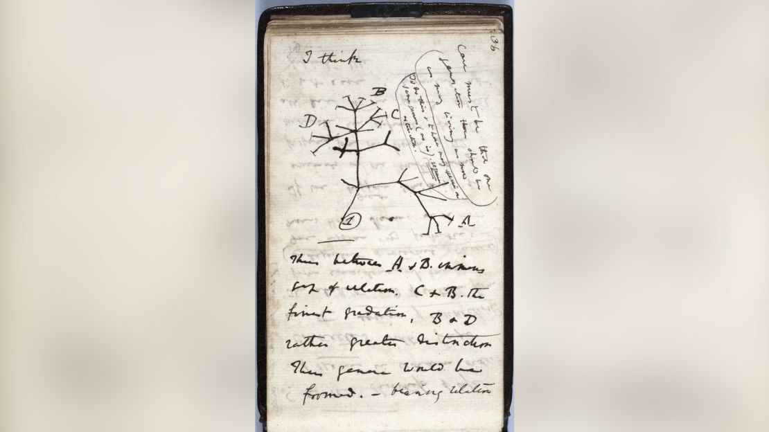 The notebooks contained Darwin's 1837 "Tree of Life" sketch.