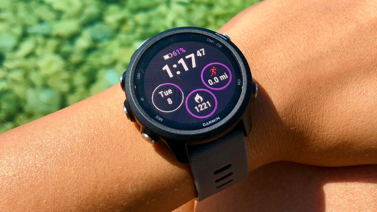 Garmin Forerunner 245 - stock