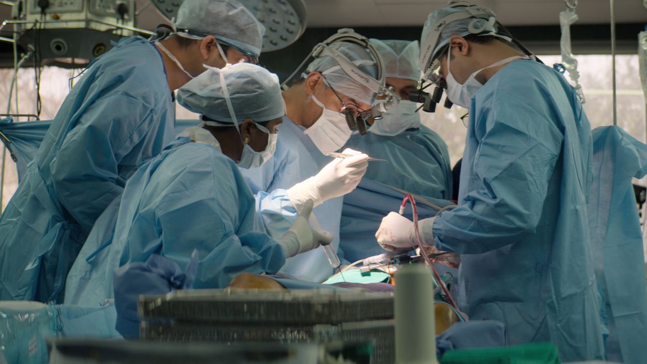 <strong>"The Surgeon's Cut" Season 1</strong>: This docuseries profiles four ground-breaking surgeons from around the world, each with a visionary approach to their craft. Viewers will follow along as they perform innovative procedures and reveal personal insight into their journey into medicine. <strong>(Netflix)</strong>