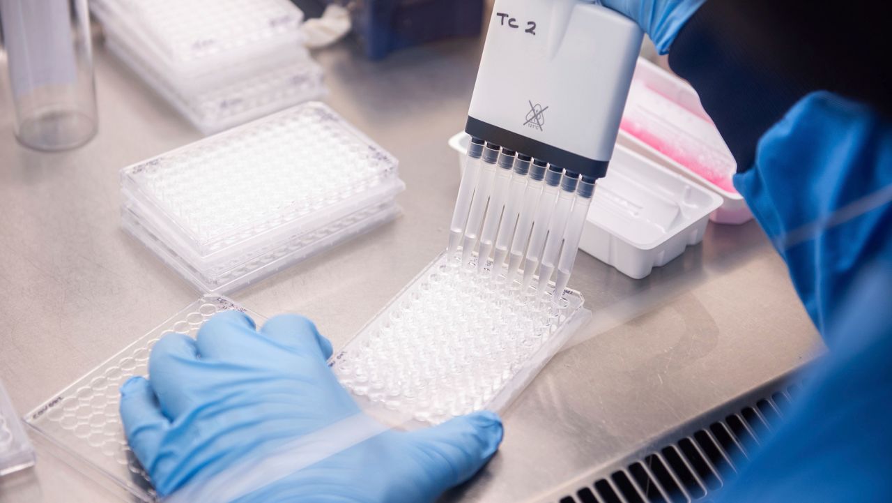 In this undated photo issued by the University of Oxford, a researcher in a laboratory at the Jenner Institute in Oxford, England, works on the coronavirus vaccine developed by AstraZeneca and Oxford University. Pharmaceutical company AstraZeneca said Monday Nov. 23, 2020, that late-stage trials showed its coronavirus vaccine was up to 90% effective, giving public health officials hope they may soon have access to a vaccine that is cheaper and easier to distribute than some of its rivals. (University of Oxford/John Cairns via AP)