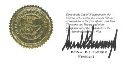 Trump Flynn pardon signature RESTRICTED