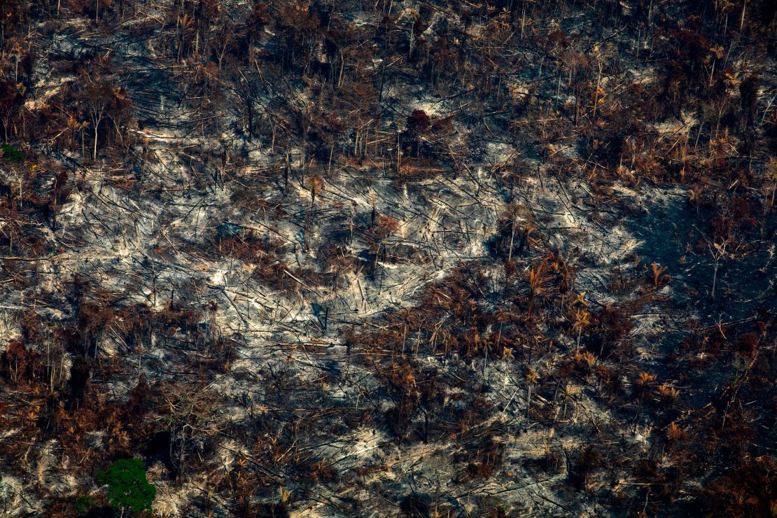 Aerial view of deforestation in Nascentes da Serra do Cachimbo Biological Reserve in Altamira in the Amazon Basin.