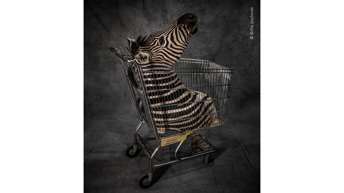 Britta Jaschinski's photographs of items seized at airports and borders across the globe are a quest to understand why some individuals continue to demand wildlife products. This zebra head was confiscated at a border point in the US.