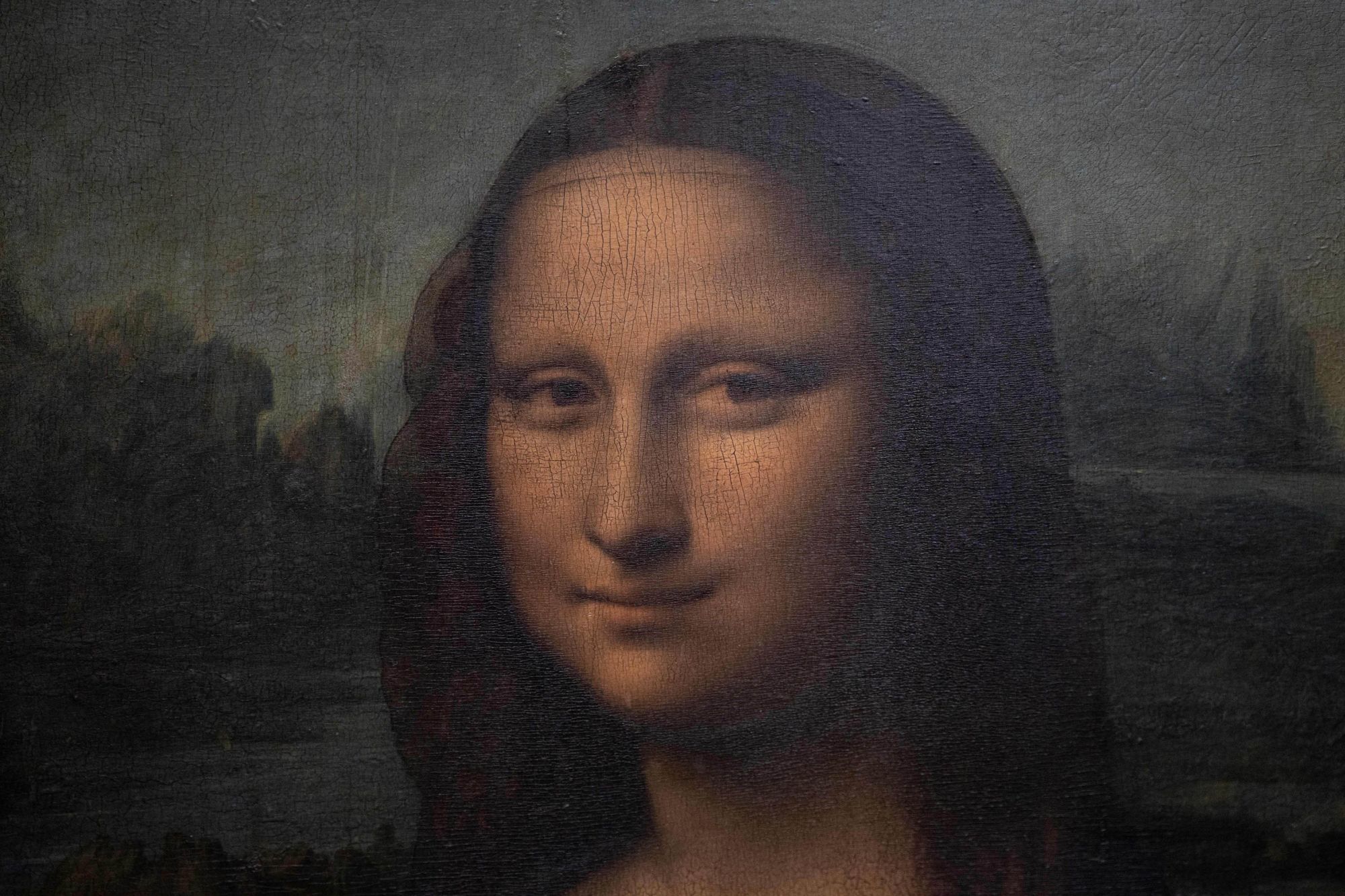 Online bidder pays $98K to get up close and personal with the Mona