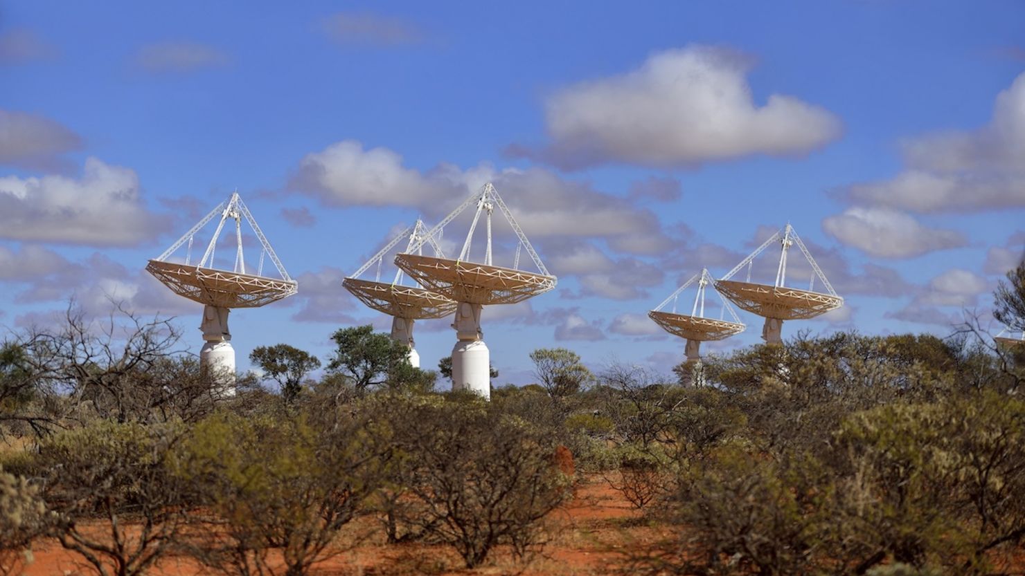 The ASKAP telescope is a collection of dishes across the remote Western Australia desert. 