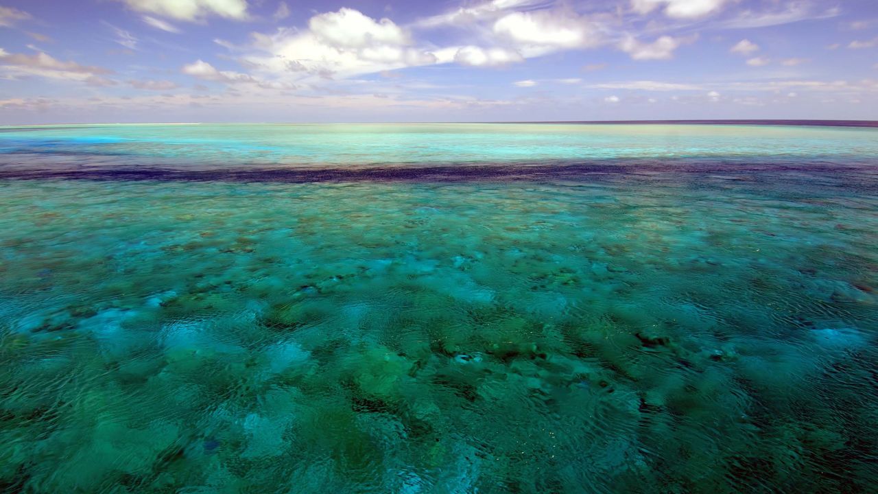 The 81-year-old fish was discovered in the Rowley Shoals area of Western Australia, which is pictured here.