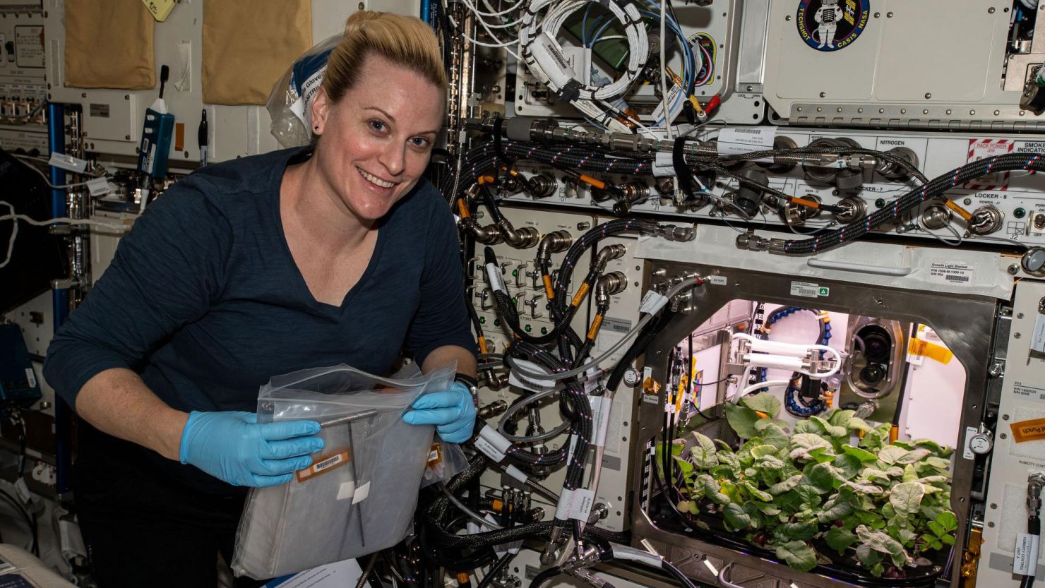 NASA astronaut and flight engineer Kate Rubins checks out radish plants growing on the space station as part of an experiment to evaluate nutrition and taste of the plants.