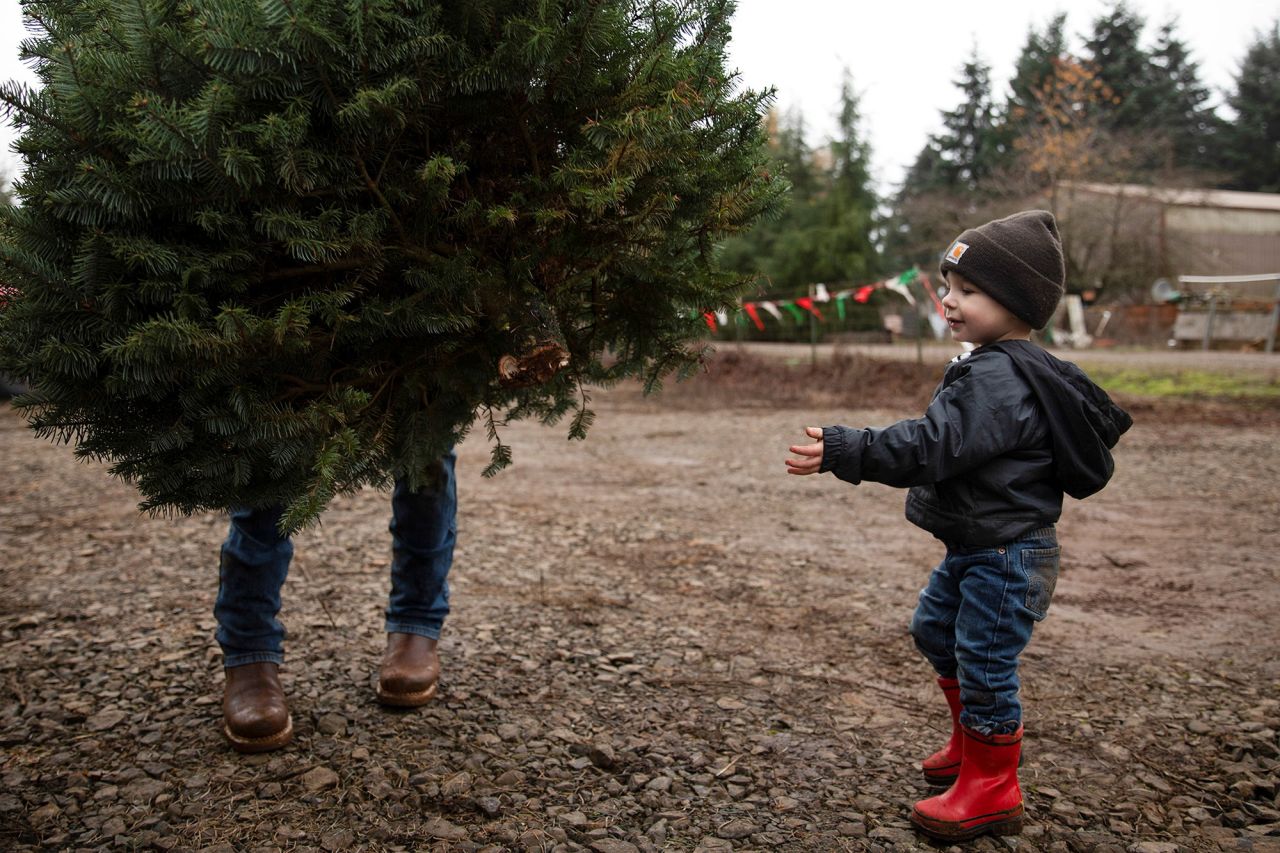 Ryan Swader holds a Christmas tree after picking it out with his 2-year-old son, Waylon, in Salem, Oregon, on Sunday, November 29.