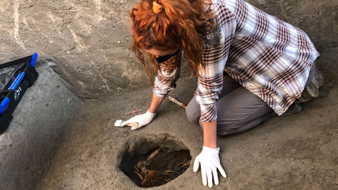 An archaeologist prepares to make the cast of the bodies found at Civita Giuliana